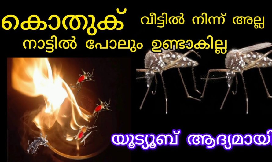 ഒന്ന് പുകച്ചാ മാത്രം മതി കൊതുക് വീട്ടില്‍ നിന്ന് അല്ല നാട്ടില്‍ പോലും ഉണ്ടാകില്ല