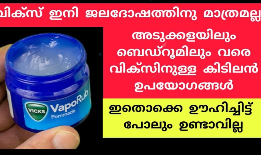 ഒരു നുള്ള് വിക്സ് കൊണ്ട് ഇതൊക്കെ ചെയ്യാൻ പറ്റുമെന്ന് ഇതുവരെ അറിഞ്ഞില്ലല്ലോ|