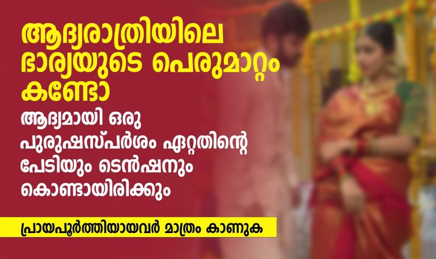 ആദ്യമായി ഒരു പുരു.ഷ.സ്പ..ർശം ഏറ്റതിന്റെ പേടിയും ടെൻഷനും