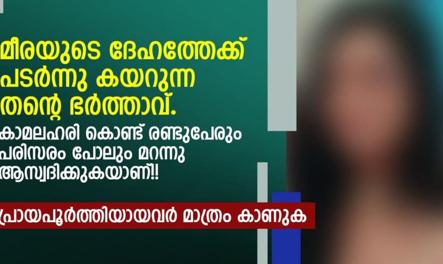 മീരയുടെ ദേഹ.ത്തേ.ക്ക് പട.ർന്നു കയറുന്ന തന്റെ ഭർത്താവ്.