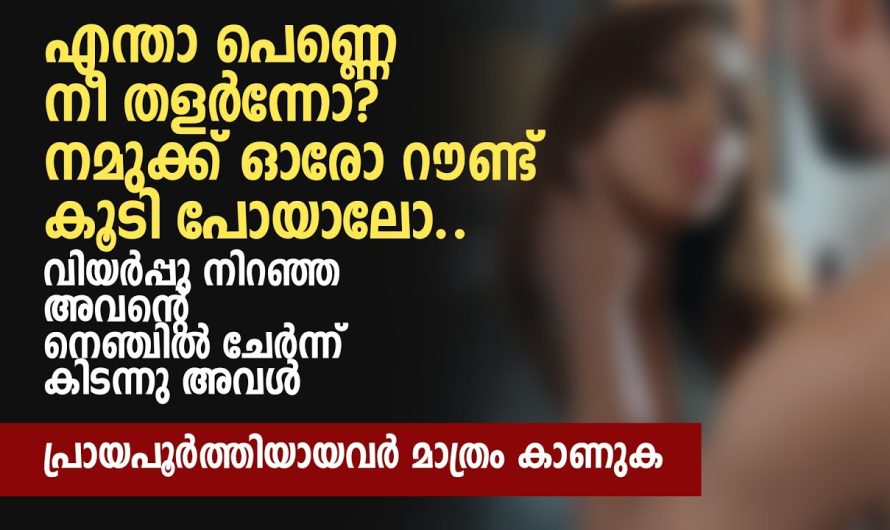 എന്താ പെ.ണ്ണെ നീ തളർന്നോ നമുക്ക് ഓരോ റൗണ്ട് കൂടി പോയാലോ