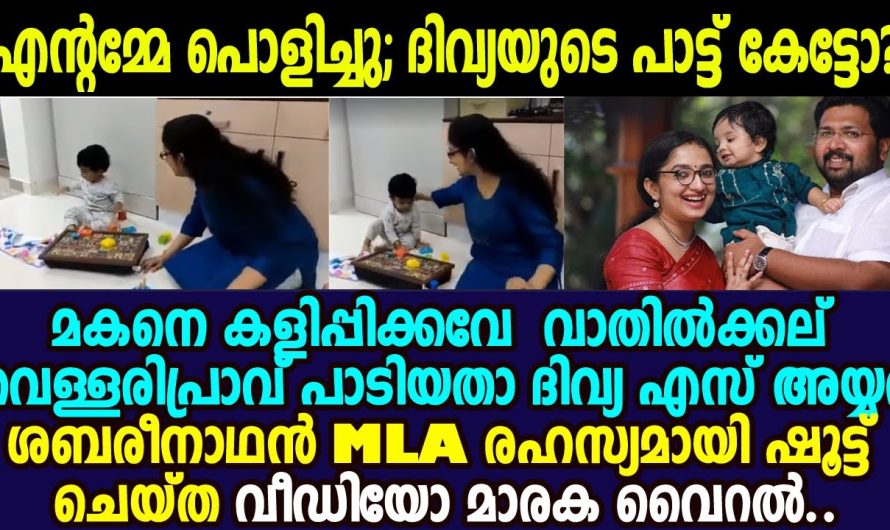 ഹോ ദിവ്യ എസ് അയ്യരേ നിങ്ങള്‍ IASകാരിയല്ല പാട്ടുകാരി ആവണമായിരുന്നു; പാട്ടുകേട്ട് ഞെട്ടി സോഷ്യല്‍മീഡിയ