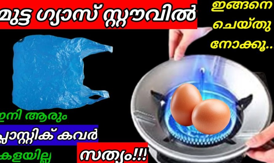 വീട്ടിൽ മുട്ടയുണ്ടായിട്ടും ഈ ഒരു ട്രിക്ക് ചെയ്യാൻ ഇതുവരെ തോന്നിയില്ലല്ലോ