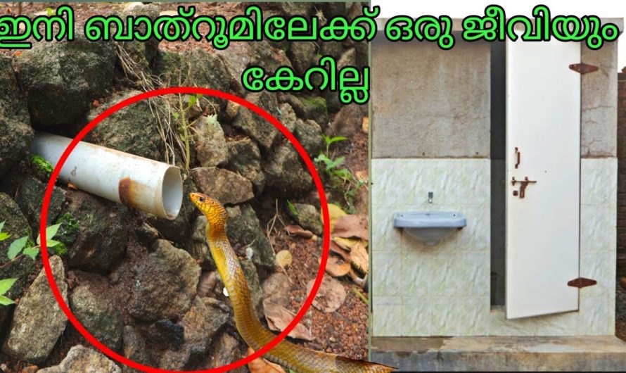 ഇനി ബാത്റൂമിലേക്ക് ഒരു ജീവിയും കേറില്ല