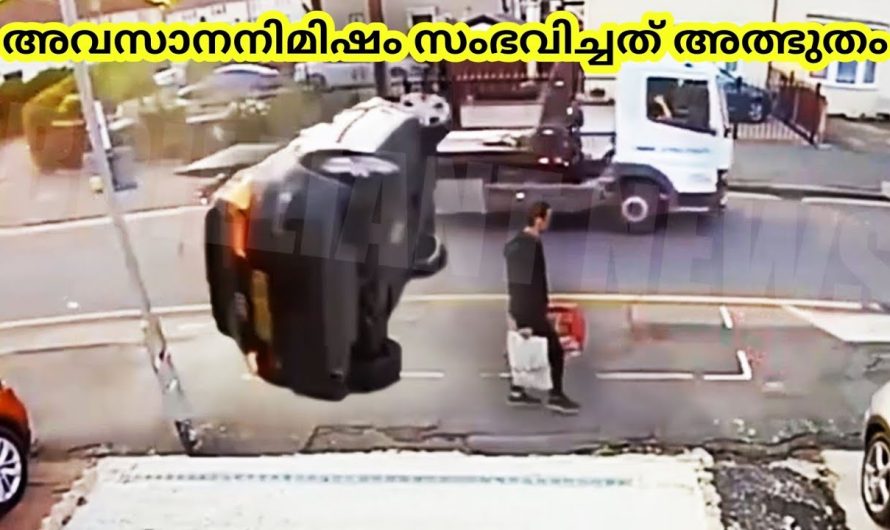 ലോകത്തിലെ ഏറ്റവും ഭാഗ്യം നിറഞ്ഞ നിമിഷം ക്യാമറയിൽ