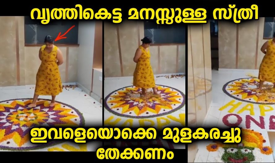 ഫ്ളാറ്റിലെ പൊതു സ്ഥലത്തു വന്ന് അവിടത്തെ താമസക്കാരിയായ മലയാളി സ്ത്രീ ചെയ്തത് കാണണം