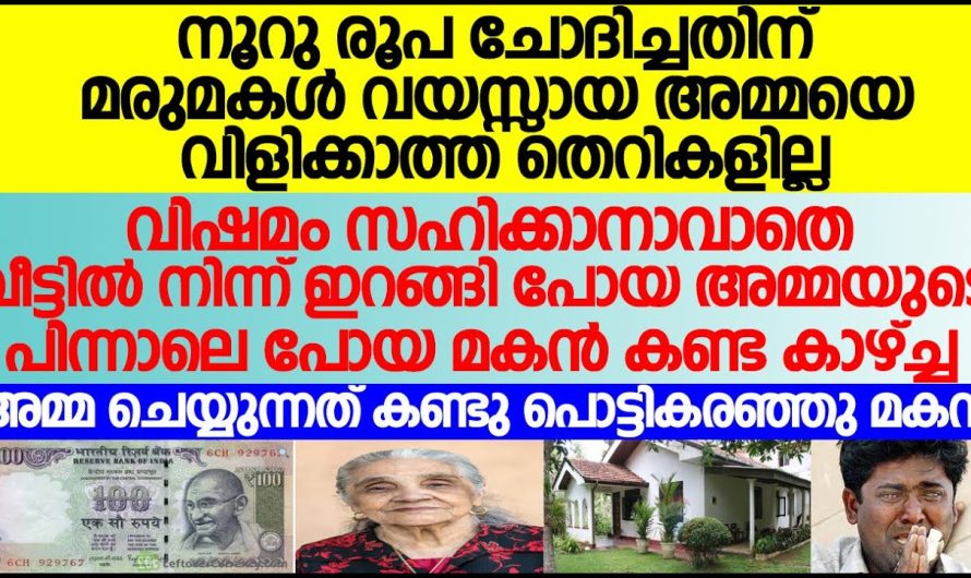 നൂറുരൂപ ചോദിച്ചതിന് മരുമകൾ അമ്മയെ വിളിക്കാത്ത തെറികളില്ല.ഇറങ്ങിപോയ അമ്മയുടെ പിന്നാലെ പോയമകൻ കണ്ടകാഴച