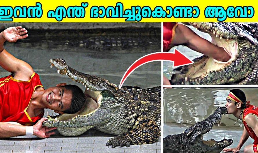 ലോകത്തിലെ ഏറ്റവും വിചിത്രമായ സംഭവങ്ങൾ