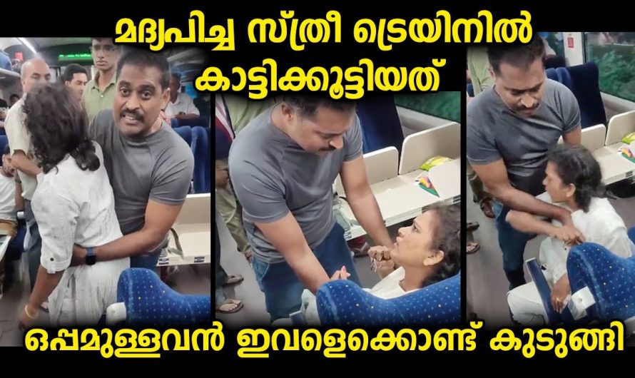 ട്രെയിനിൽ യുവതിയെക്കൊണ്ട് യാത്രക്കാർ ശരിക്കും പൊറുതിമുട്ടി…ഏതോ കൂടിയ ഇനമാണ്