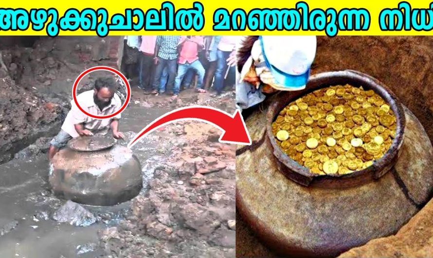 ഭാഗ്യം വരുന്ന ഓരോരോ വഴികളെ | ആകസ്മികമായി കണ്ടെത്തിയ ഏറ്റവും വലിയ നിധികൾ