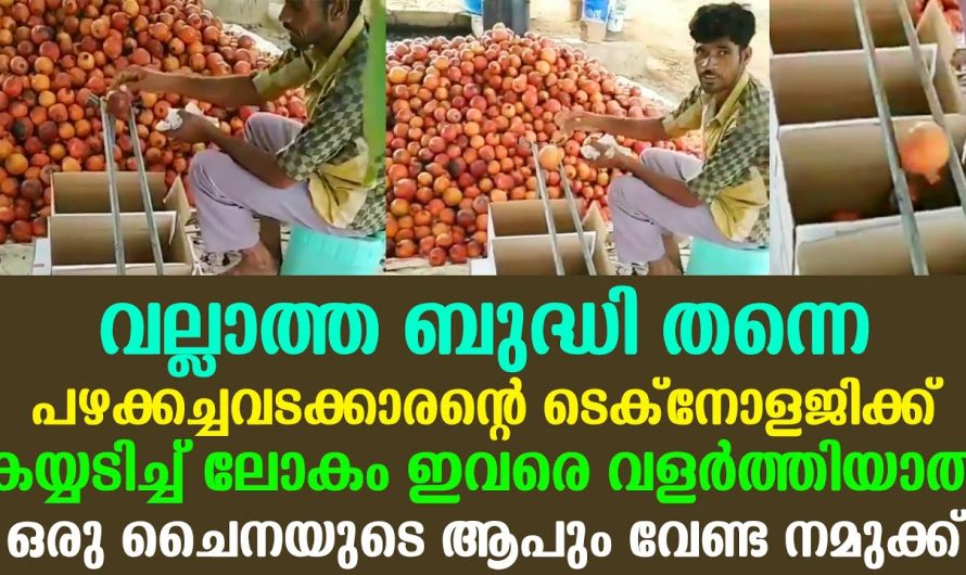 വല്ലാത്ത ബുദ്ധി തന്നെ… പഴക്കച്ചവടക്കാരന്റെ ടെക്‌നോളജിക്ക് കയ്യടിച്ച് ലോകം