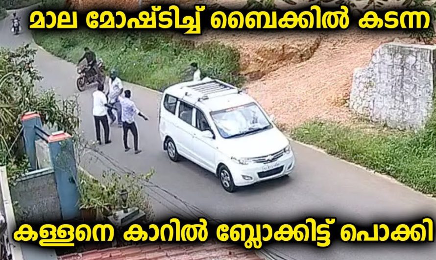 സ്വർണമാലയുമായി ബൈക്കിൽ മുങ്ങിയ യുവാക്കളെ സിനിമാ സ്റ്റൈലിൽ പൊക്കി