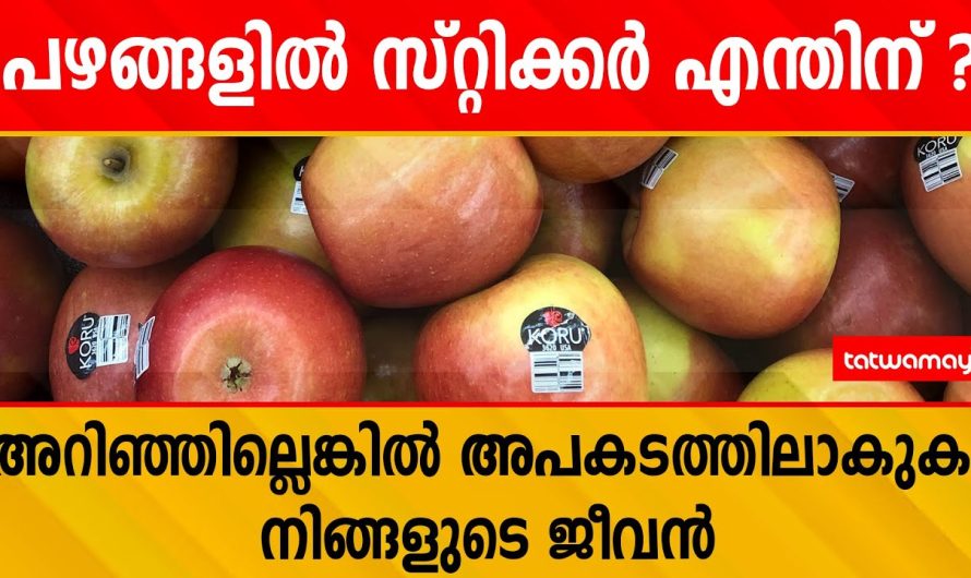 വെറുതെയല്ല പഴങ്ങളിൽ സ്റ്റിക്കർ ഒട്ടിക്കുന്നത്