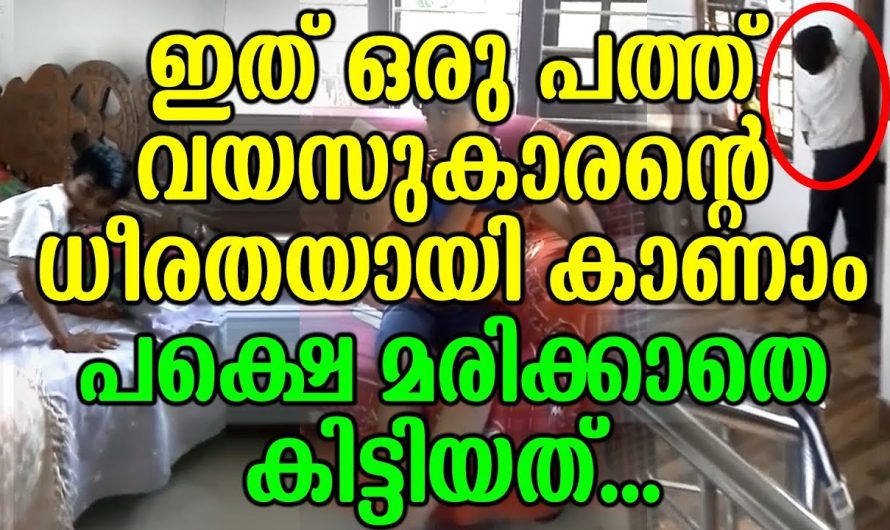 ഇത് ഒരു പത്ത് വയസുകാരന്റെ ധീരതയായി കാണാം പക്ഷെ മരി..ക്കാതെ കിട്ടിയത്