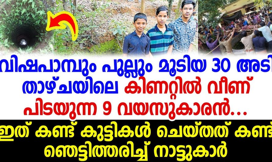 പാമ്പുകള്‍ നിറഞ്ഞ കിണറ്റില്‍ വീണ 9വയസുകാരനെ കണ്ട് ഈ കുട്ടികള്‍ ചെയ്തത് കണ്ടോ? കണ്ണുതള്ളി നാട്ടുകാര്‍