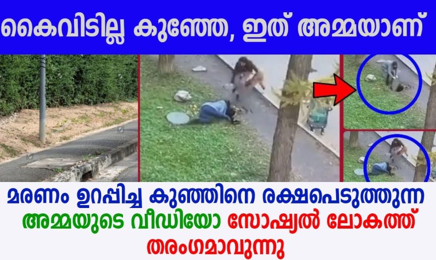 അമ്മയെ സ്നേഹിക്കുന്നവർ ഈ വീഡിയോ കാണാതെ പോവില്ല !!