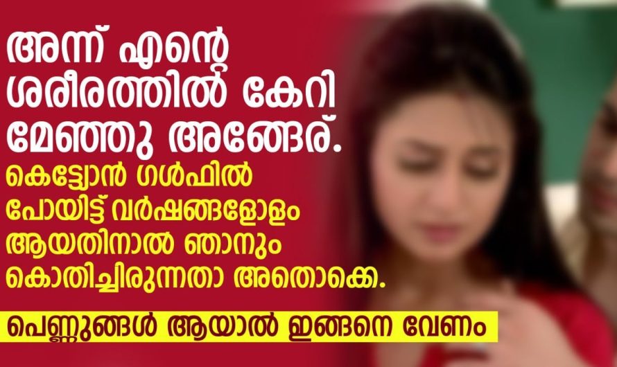 കെട്ട്യോൻ ഗൾഫിൽ പോയിട്ട് വർഷത്തോളം ആയതിനാൽ ഞാനും കൊതിച്ചിരുന്നതാ അതൊക്കെ