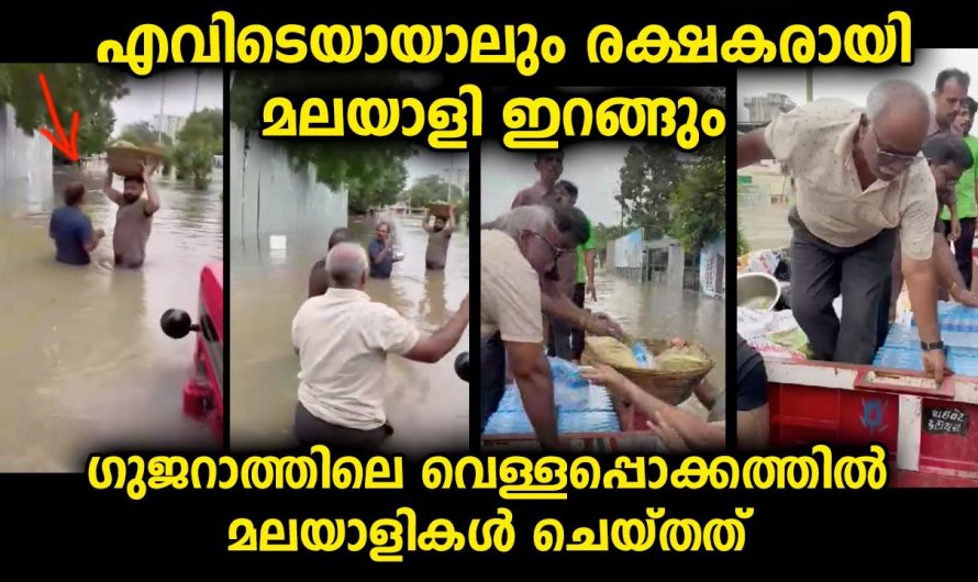 ഏത് നാട്ടിലായാലും മലയാളികൾ രക്ഷകരായി ഇറങ്ങും…മലയാളി പൊളിയാണ്