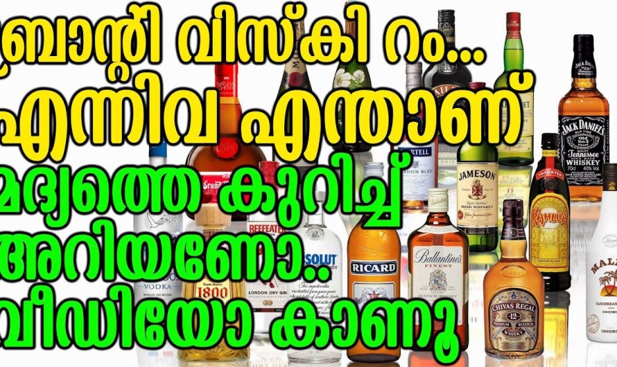 ബ്രാണ്ടി വിസ്‌കി റം എന്നിവ എന്താണ്..? മദ്യത്തെ കുറിച്ച് അറിയണോ