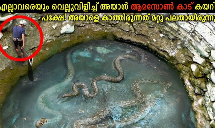 അയ്യാൾ ആമസോണിലേക്ക് പോയതെന്തിന്?