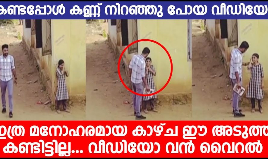 കണ്ടപ്പോൾ കണ്ണ് നിറഞ്ഞു പോയ വീഡിയോ | ഇത്ര മനോഹരമായ കാഴ്ച ഈ അടുത്ത് കണ്ടിട്ടില്ല