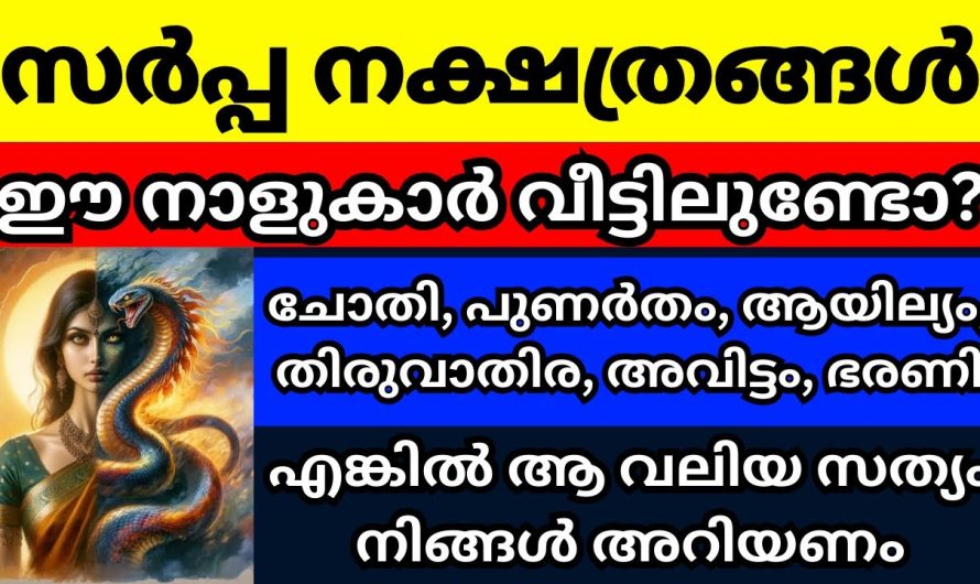 സർപ്പ നക്ഷത്രങ്ങൾ, ഈ നക്ഷത്രക്കാർ വീട്ടിലുണ്ടോ എങ്കിൽ ആ സത്യം നിങ്ങൾ അറിഞ്ഞിരിക്കണം