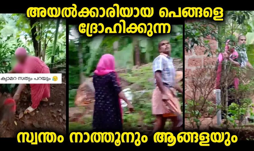 അയൽക്കാരായ സഹോദരനും ഭാര്യയും കൂടി അടുത്ത വീട്ടിലെ സഹോദരിയോട്‌ കാണിക്കുന്നത്