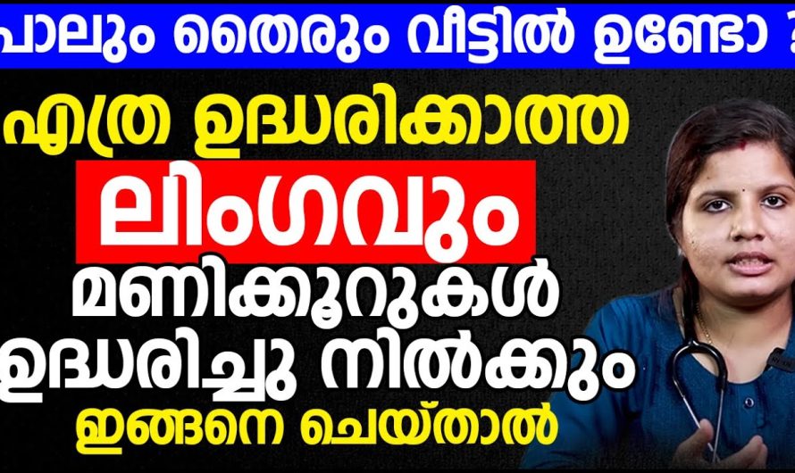 എത്ര ഉ.ദ്ധ.രി.ക്കാത്ത ലിം….ഗ…വും മണിക്കൂറുകൾ ഉദ്ധ..രിച്ചു നിൽക്കും ഇങ്ങനെ ചെയ്താൽ