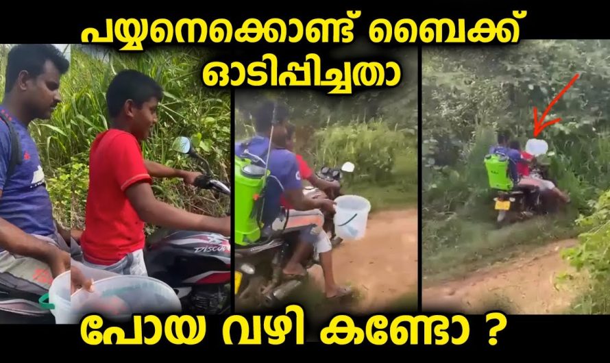 വീഡിയോ കാണാൻ തുടങ്ങിയപ്പോഴേ കണ്ടവർ ഇത് പ്രതീക്ഷിച്ചു… ബൈക്ക് ഓടിച്ചുപോയ വഴി