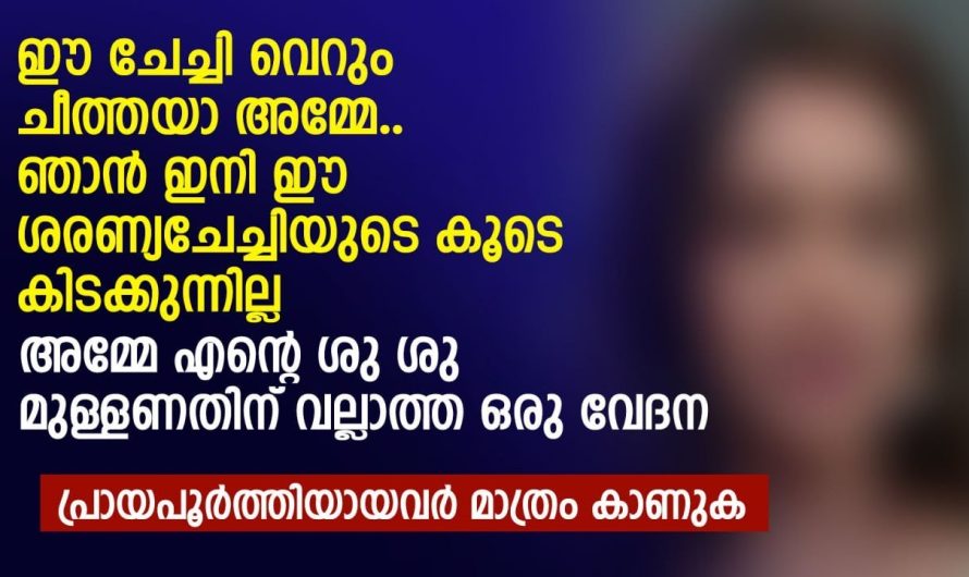 ഈ ചേച്ചി വെറും ചീ ത്തയാ അമ്മേ.. ഞാൻ ഇനി ഈ ശരണ്യചേച്ചിയുടെ കൂടെ കിടക്കുന്നില്ല