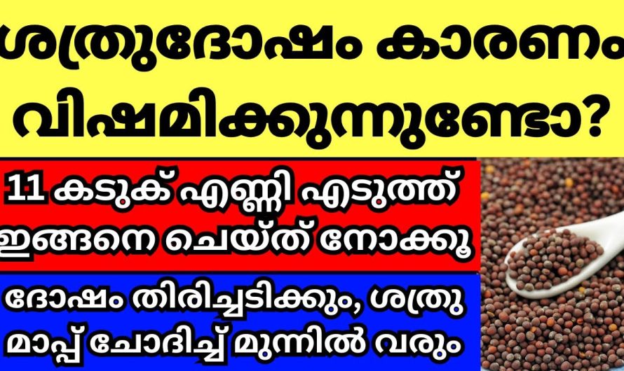 ശത്രു ദോഷം കൊണ്ട് വിഷമിക്കുന്നവർ, 11 കടുക് എണ്ണി എടുത്ത് ഇങ്ങനെ ചെയ്യൂ, ശത്രു മാപ്പ് ചോദിച്ച് വരും