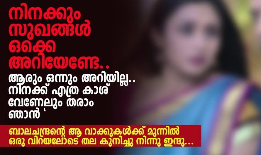 നിനക്കും സുഖങ്ങൾ ഒക്കെ അറിയേണ്ടേ, ആരും ഒന്നും അറിയില്ല