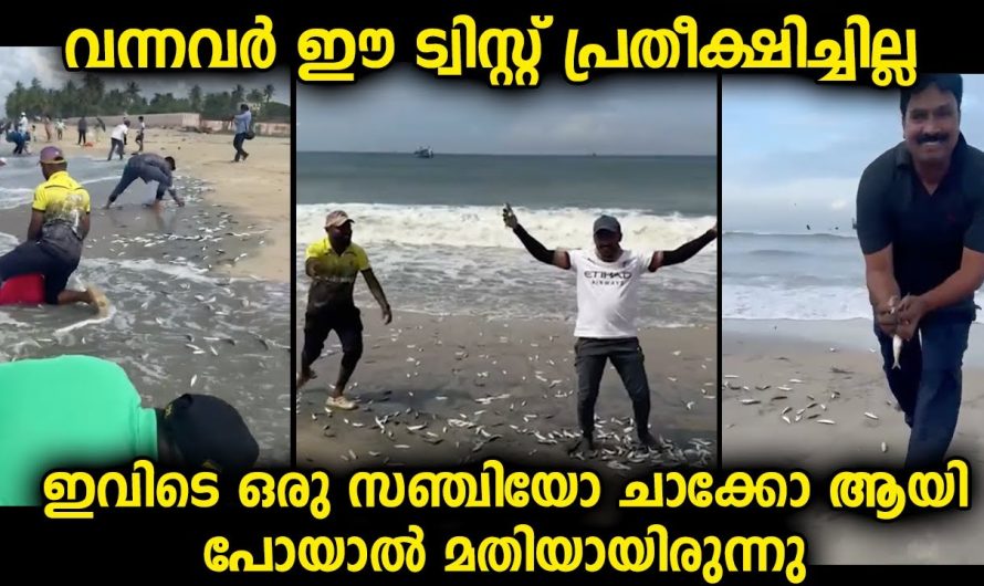 വെറുതെ ഒരു ഉല്ലാസത്തിന് ഇവിടെ പോയവർ ഇങ്ങനൊരു ട്വിസ്റ്റ് ഒരിക്കലും പ്രതീക്ഷിച്ചില്ല