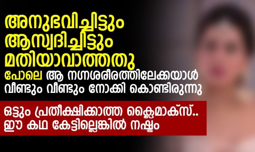 ഈ കഥ കേട്ടില്ലെങ്കിൽ നഷ്ടം ഒട്ടും പ്രതീക്ഷിക്കാത്ത ക്ലൈമാക്സ്