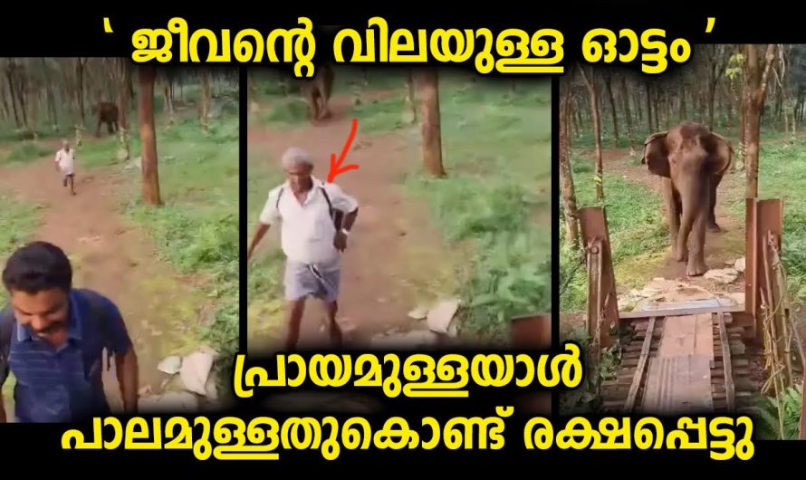 വീഡിയോ കണ്ടപ്പോൾ പ്രായമുള്ളയാൾ ഭാഗ്യത്തിന് രക്ഷപ്പെട്ടതായി തോന്നി…