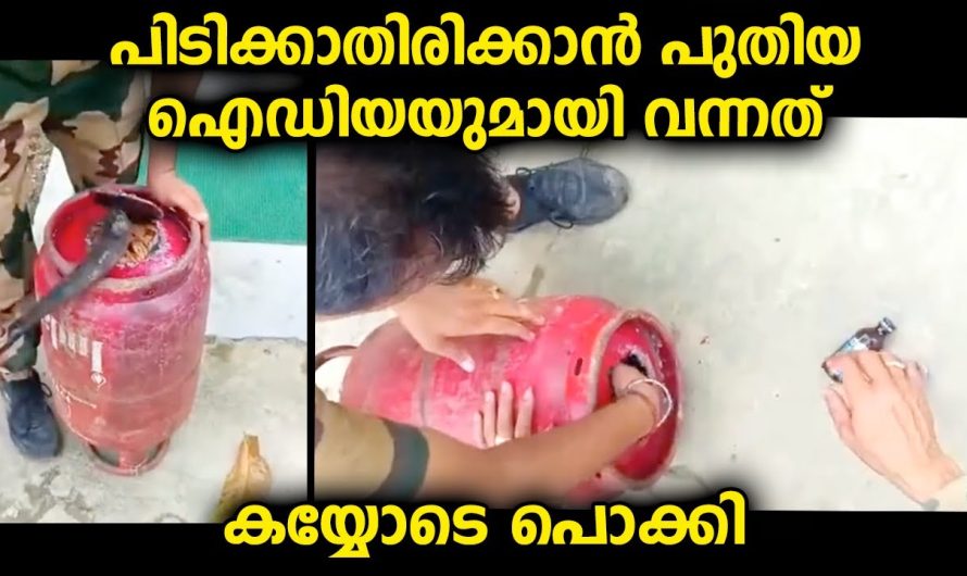 ഇങ്ങനെ കൊണ്ടുവന്നാൽ ആരും സംശയിക്കില്ലെന്ന് കരുതിയത് മൊത്തം പൊക്കിയ കാഴ്ച