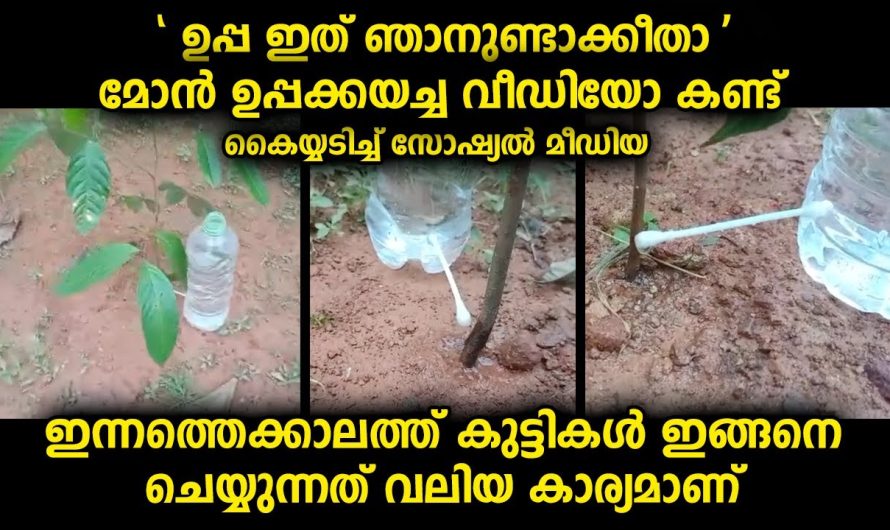 വീട്ടിൽ മകൻ ചെയ്തത് വീഡിയോ എടുത്തു പിതാവിനയച്ചു…ഇന്നത്തെക്കാലത്തു ഇത് വലിയൊരു കാര്യം തന്നെയാണ്