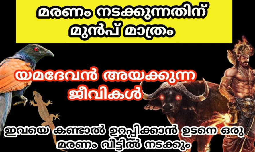 മരണം നടക്കുന്നതിന് മുൻപ് യമദേവൻ വീട്ടിലേക്ക് അയക്കുന്ന ജീവികൾ