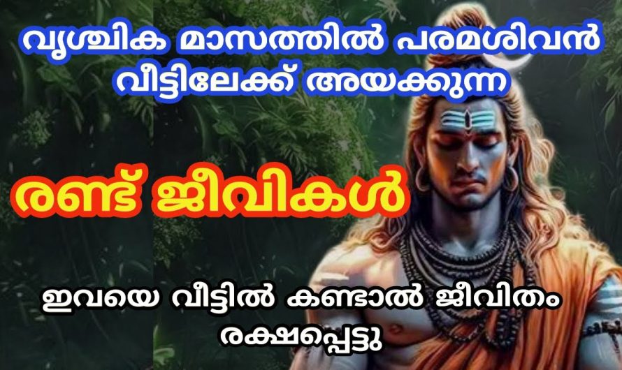 വൃശ്ചിക മാസത്തിൽ പരമശിവൻ വീട്ടിലേക്ക് അയക്കുന്ന ജീവികൾ