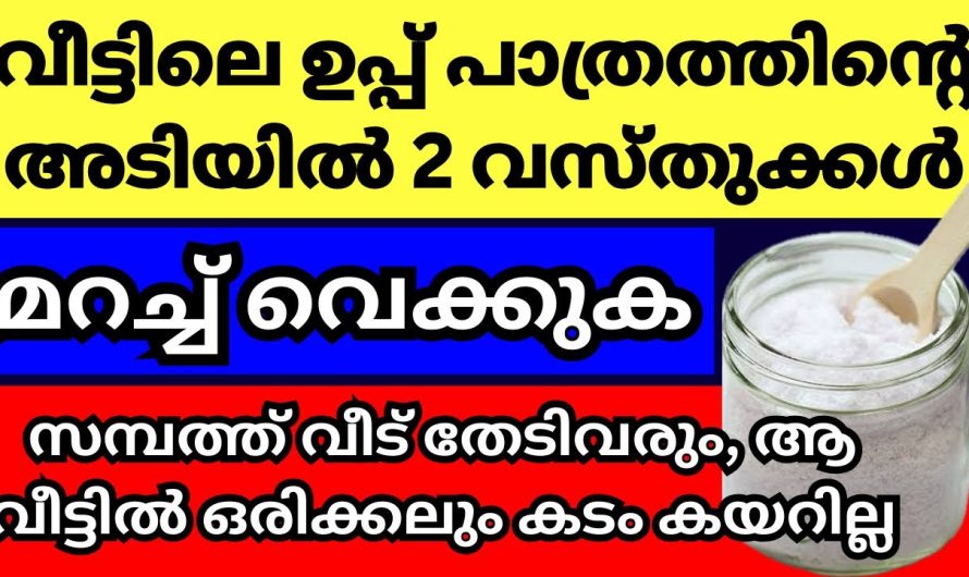 വീട്ടിലെ ഉപ്പ് പാത്രത്തിന്റെ അടിയിൽ ഈ വസ്തുക്കൾ മറച്ച് വെക്കൂ, സമ്പത്ത് വീട് തേടിവരും, മഹാഭാഗ്യം