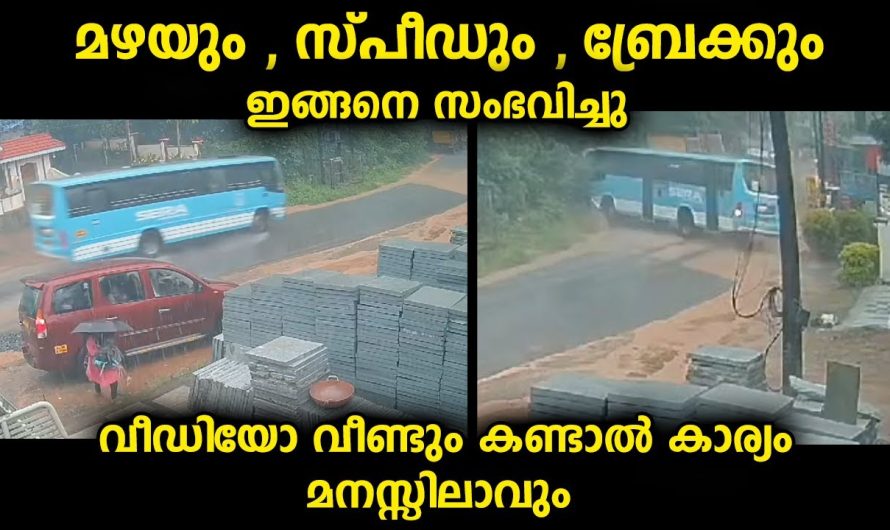 വീഡിയോ ആദ്യം കണ്ടപ്പോൾ ഒന്നും മനസ്സിലായില്ലെങ്കിലും വീണ്ടും കണ്ടപ്പോഴാണ് കാര്യം മനസ്സിലായത്