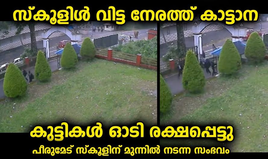 സ്കൂൾ കഴിഞ്ഞു വിദ്യാർഥികൾ വാഹനം കാത്തുനിന്നപ്പോൾ സ്കൂളിന്റെ ക്യാമറയിൽ പതിഞ്ഞത്