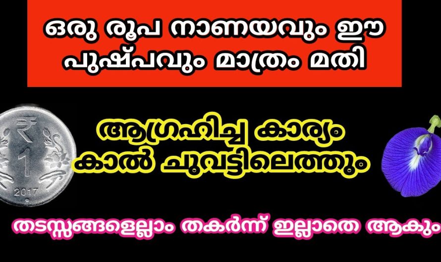 ഒരു രൂപ നാണയവും ഈ പുഷ്പവും മാത്രം മതി ആഗ്രഹം നടന്നിരിക്കും