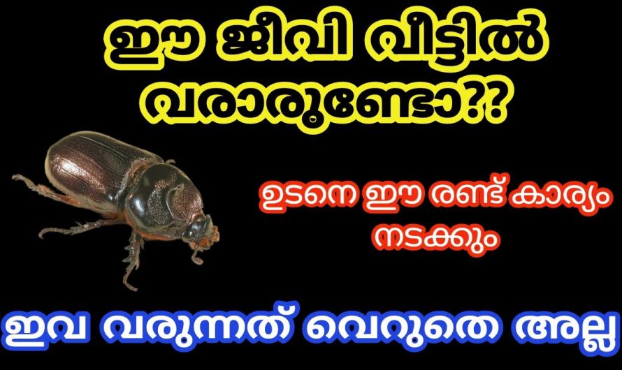 ഈ ജീവി വീട്ടിൽ വരാരുണ്ടോ??ഉടനെ ഈ രണ്ട് കാര്യം നടക്കും