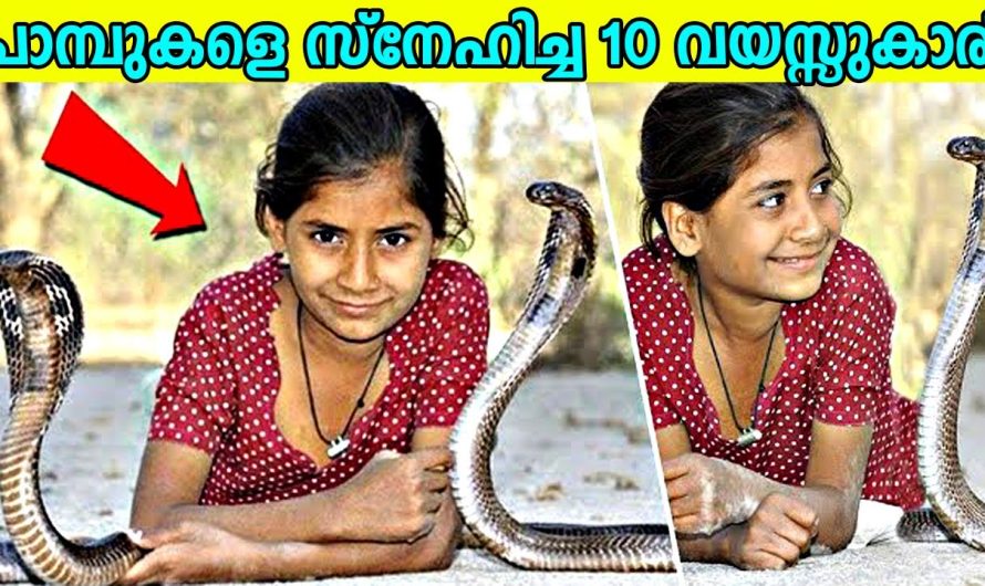 പാമ്പുകളെ സ്നേഹിച്ച 10 വയസ്സുകാരി