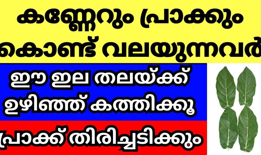 അയൽക്കാരുടെ പ്രാക്കും വിളിയും കൊണ്ട് പൊറുതി മുട്ടിയോ, എങ്കിൽ ഉടനെ ഇത് ചെയ്യൂ,പ്രാക്ക് തിരിച്ചടിക്കും