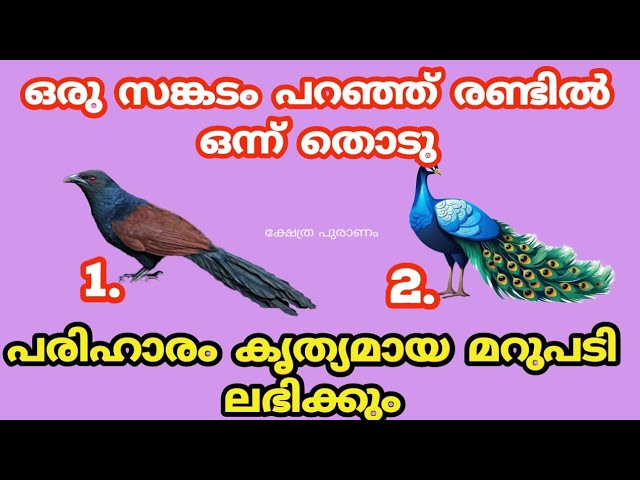 ഒരു സങ്കടം പറഞ്ഞ് തൊടു പരിഹാരം കൃത്യമായ മറുപടി ലഭിക്കും.