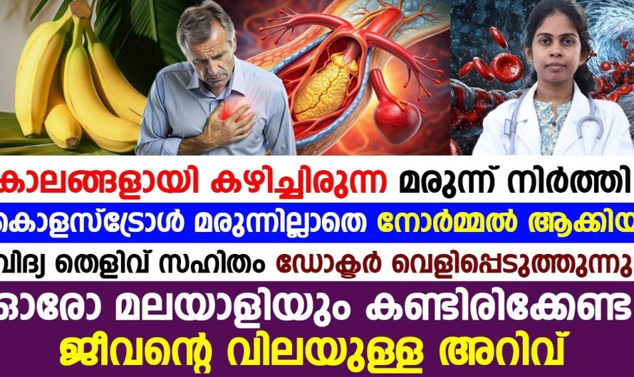 കൊളസ്ട്രോളിനു ഇനി മരുന്ന് വേണ്ട മരുന്നില്ലാതെ നോര്മലാക്കാനുള്ള വിദ്യ ഡോക്ടർ പറയുന്നു