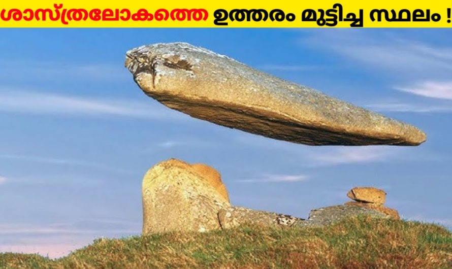 ശാസ്ത്രലോകത്തെ ഉത്തരം മുട്ടിച്ച പ്രതിഭാസം.