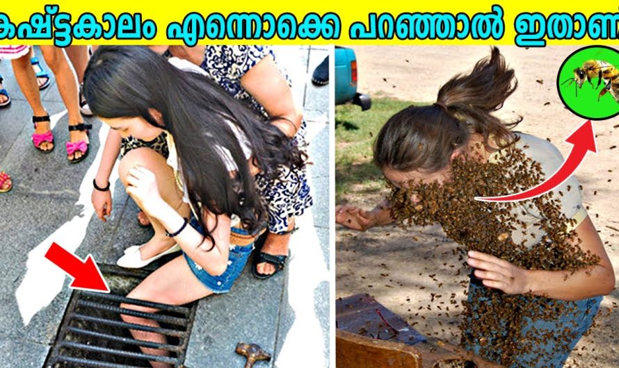 കഷ്ട്ടകാലം പിടിച്ച സമയത്ത് ഇവർക്ക് സംഭവിച്ചത് കണ്ടോ ? | അവസാനം രക്ഷിക്കാൻ ഫയർ ഫോഴ്‌സ് വരേണ്ടി വന്നു